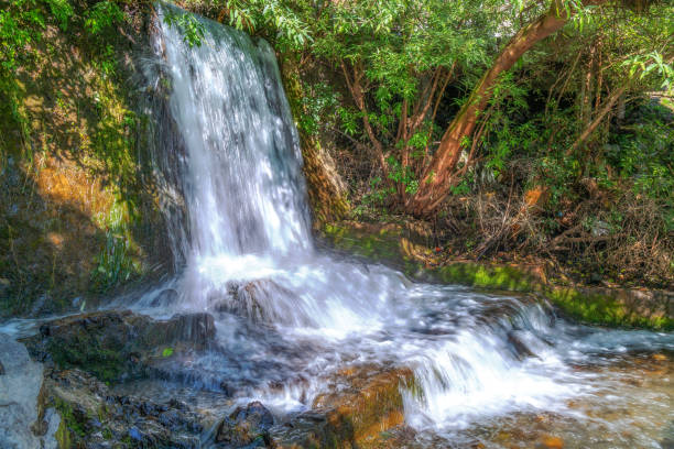 istock Mountain waterfall surrounded with dense foliage at Uttarakhand India 1160153715