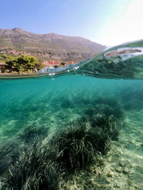 istock Adriatic Coastline in Summertime 1160155494
