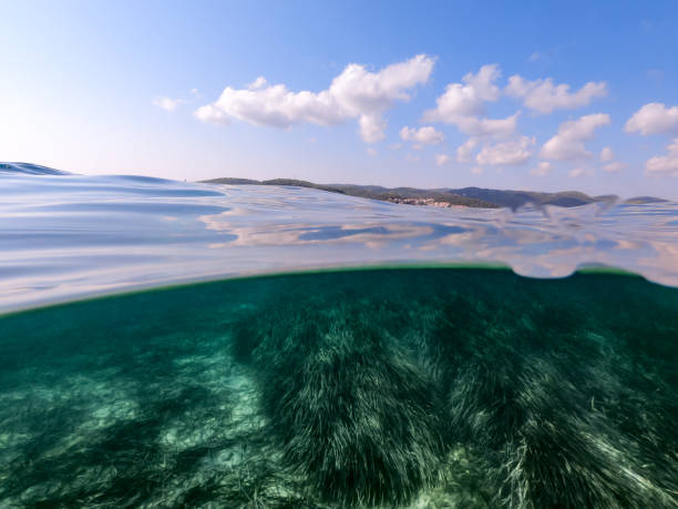 istock Crystal Clear Adriatic Sea Water 1160155499