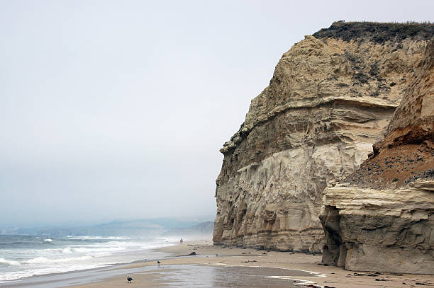 istock beach in fog, San Gregorio State Beach, California 116015828