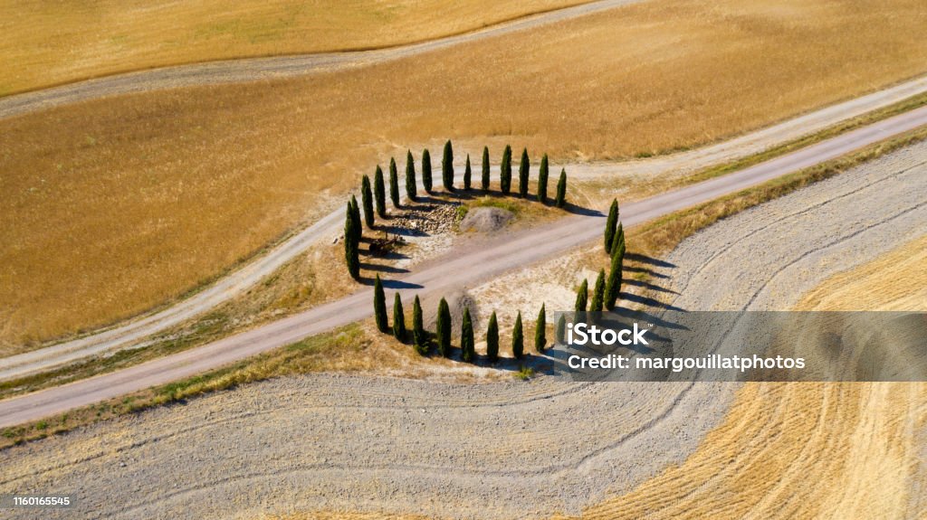 cypress in Toscane, aerial view, italy Aerial View Stock Photo
