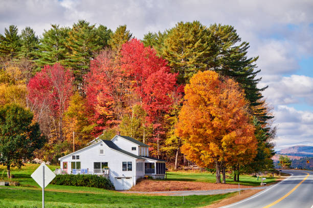 A house with a porch and a path leading to it. The path is lined with trees and the leaves are changing colors
