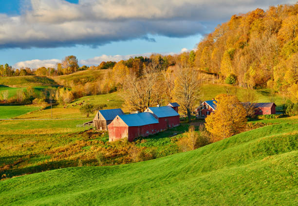 jenne farm ze stodołą w słoneczny jesienny poranek - jenne farm zdjęcia i obrazy z banku zdjęć