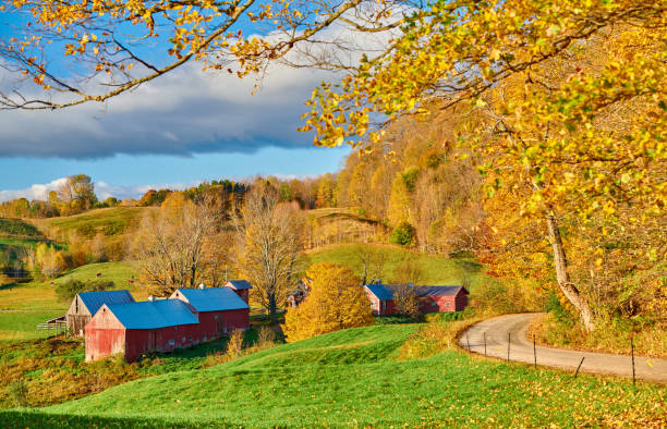 jenne farm ze stodołą w słoneczny jesienny poranek - jenne farm zdjęcia i obrazy z banku zdjęć