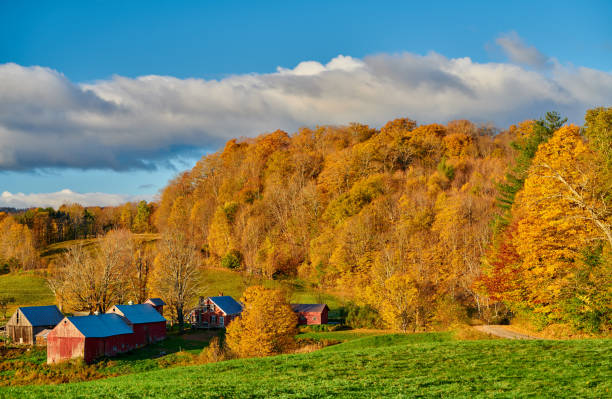 jenne farm ze stodołą w słoneczny jesienny poranek - jenne farm zdjęcia i obrazy z banku zdjęć