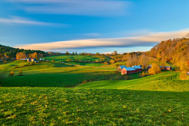 jenne farm ze stodołą w słoneczny jesienny poranek - jenne farm zdjęcia i obrazy z banku zdjęć