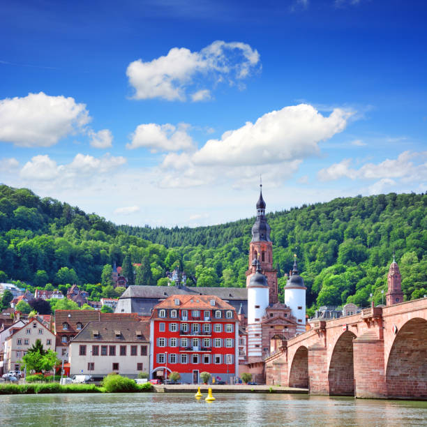 istock Old Bridge in Heidelberg 1160170648