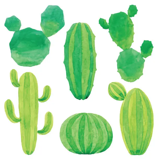 Vector illustration of Watercolor Cactus Set