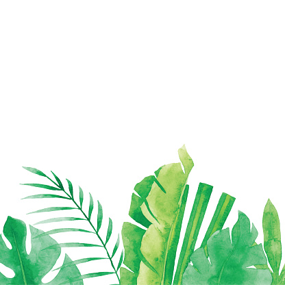 Watercolor Tropical Plants Background