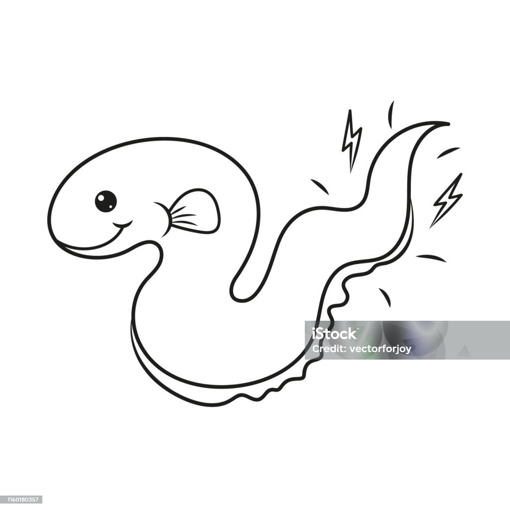 Tô Màu Trang Với Một Con Lươn Điện Minh Họa Vector Hình minh họa ...