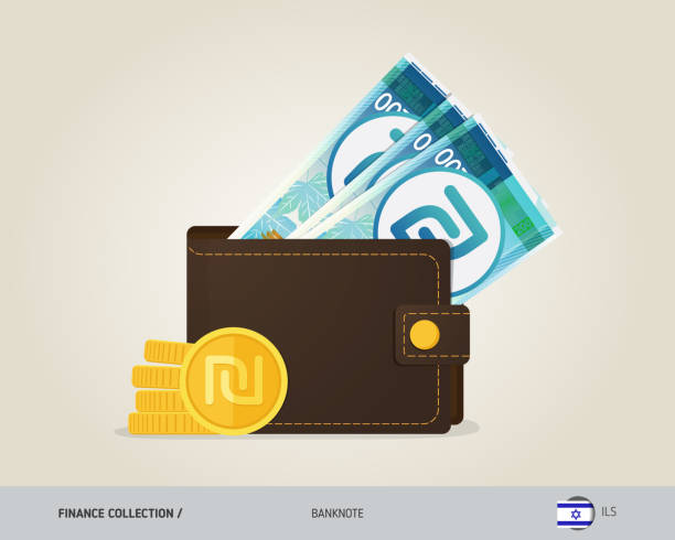 Brown leather wallet with 200 Israeli New Shekel Banknote and coins. Flat style vector illustration. Business concept. Banknotes israeli coin stock illustrations