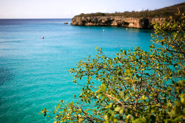 Playa Kenepa Grandi beach on Curacao