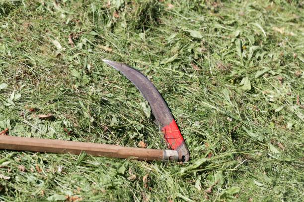 istock Old style scythe in fresh mowed hay 1160185879