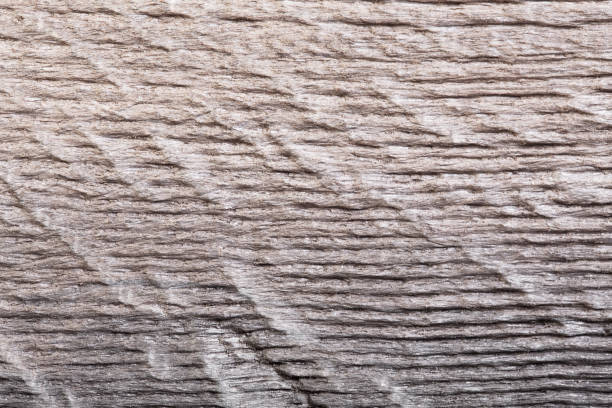 istock Old oak wood background. High quality texture in extremely high resolution. 1160190301