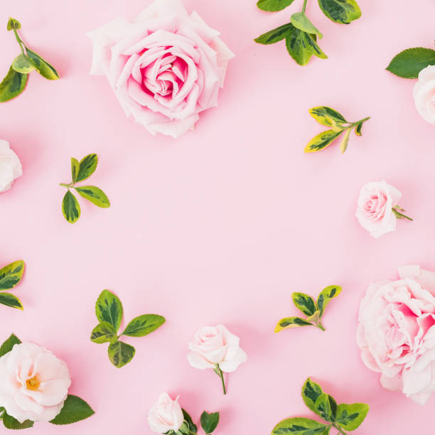istock Floral frame with roses and leaves on pink background. Flat lay, top view 1160190549
