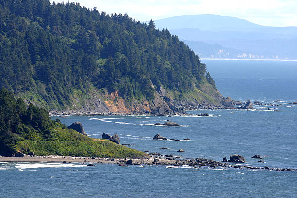 istock Northern California Coastline 116019116