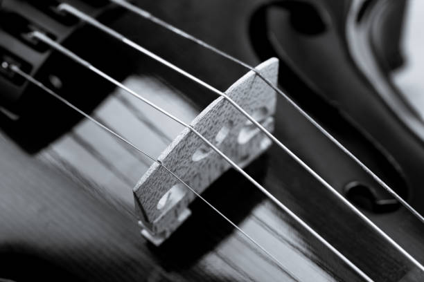 istock Black & white close up of a violin bridge and strings 1160191385