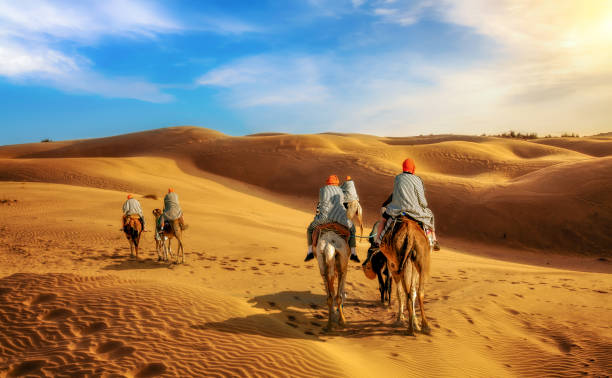 camel caravan at the thar desert jaisalmer rajasthan at sunset - jaisalmer imagens e fotografias de stock