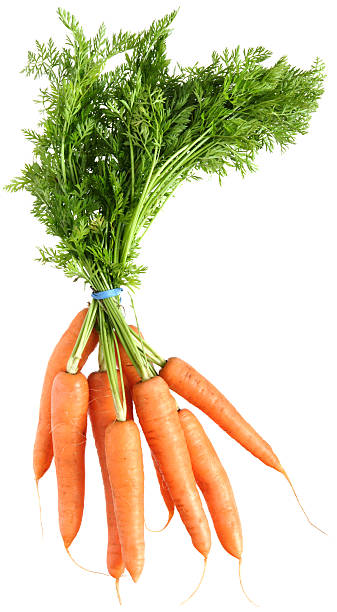 istock bunch of carrots with tails, isolated 116019967