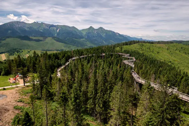 Photo of The treetop walk Bachledka in High Tatra mountains