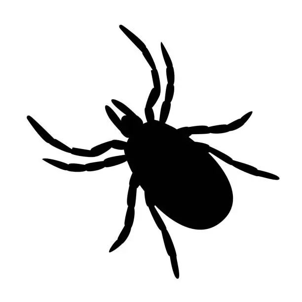 Vector illustration of simple black and white tick symbol or icon