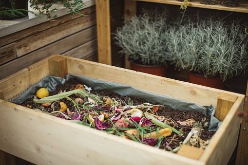 After preparing vegetable meal for cooking it is time making compost from leftovers.