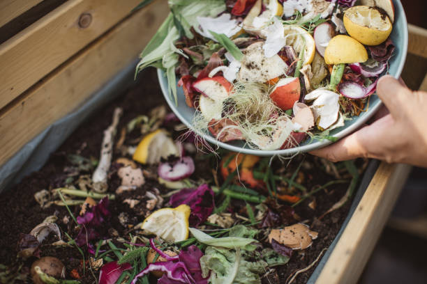 Making compost from leftovers After preparing vegetable meal for cooking, mature men making compost from leftovers. compost stock pictures, royalty-free photos & images