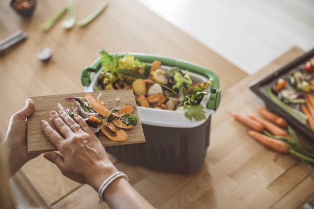 Making compost from vegetable leftovers Women preparing vegetable meal for cooking, everything is so green, healthy and freshly harvested from garden. Making compost from leftovers. compost stock pictures, royalty-free photos & images