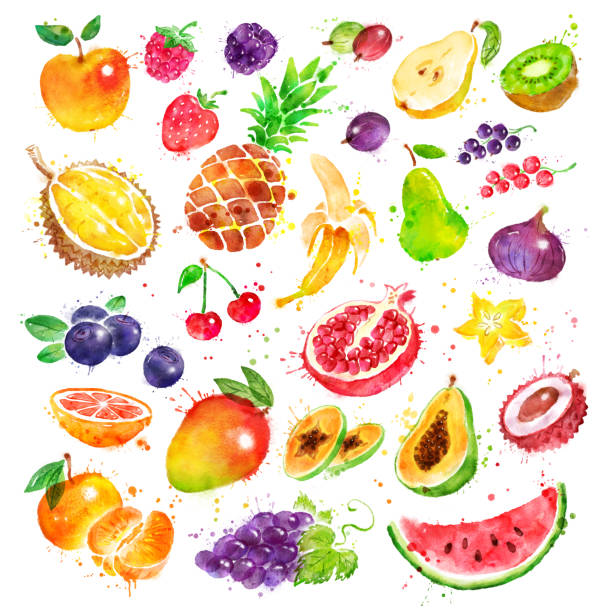 ручная нарисованная акварель набор фруктов - raspberry gooseberry strawberry cherry stock illustrations