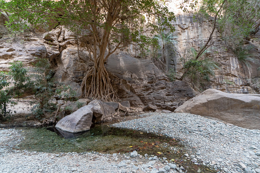Wadi Lajab en la provincia de Jizan, Arabia Saudí photo