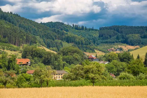 Landscape in Gengenbach in Baden-Wurttemberg, Germany