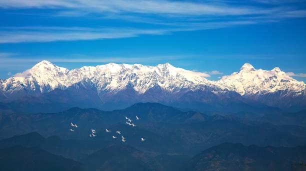 majestuosa cordillera del himalaya con aves migratorias voladoras en binsar uttarakhand india - himalayas fotografías e imágenes de stock