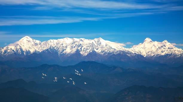 Majestic Himalaya mountain range with flying migratory birds at Binsar Uttarakhand India stock photo