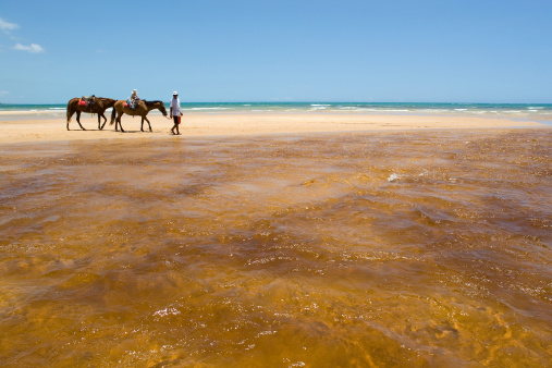 Baby riding horse pulled by a man on a tropical empty beach crossed by a river.
