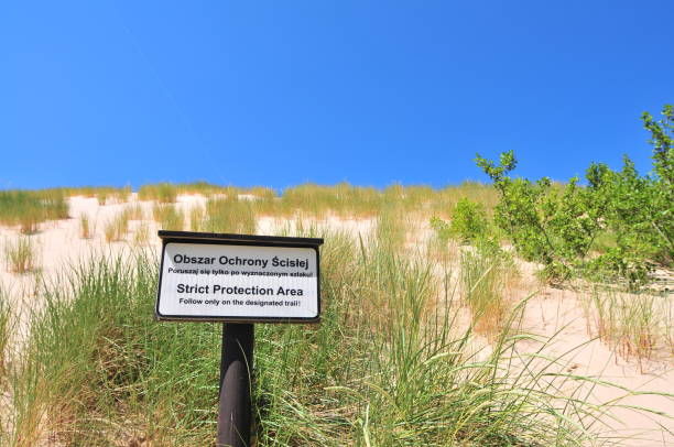 istock Strict Protection Area sighn in Slowinski National Park 1160213513