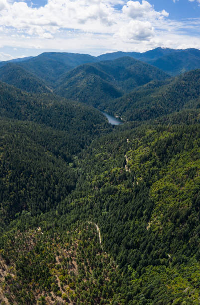 vista aérea das florestas em oregon do sul perto de ashland - landscape aerial view lumber industry agriculture - fotografias e filmes do acervo