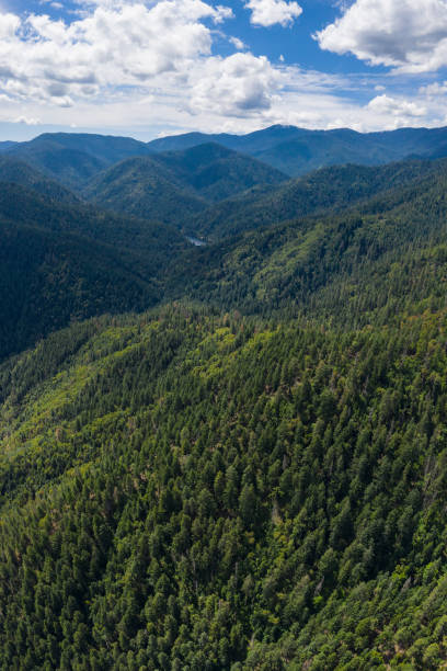 アシュランド近くの森林の航空写真 - landscape aerial view lumber industry agriculture ストックフォトと画像