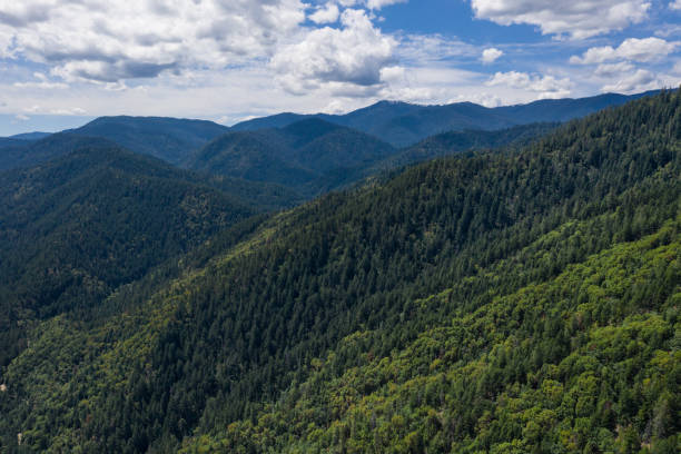 オレゴン州南部の森林の航空写真 - landscape aerial view lumber industry agriculture ストックフォトと画像