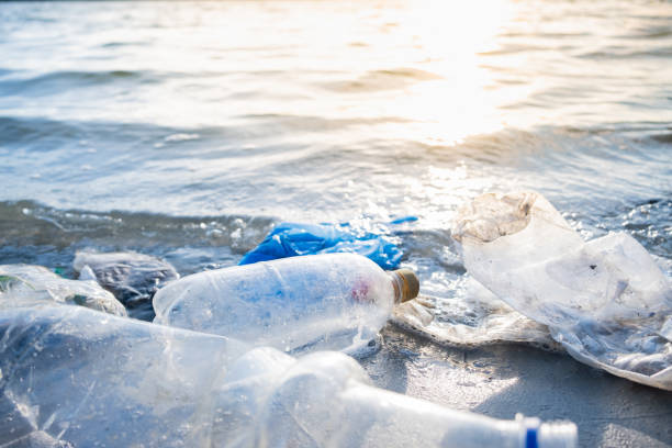 istock Empty plastic bottles on the beach, seashore and water pollution concept. 1160217039