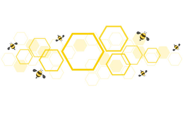 ilustrações de stock, clip art, desenhos animados e ícones de hexagon bee hive design art and space background vector eps10 - hexágono ilustrações