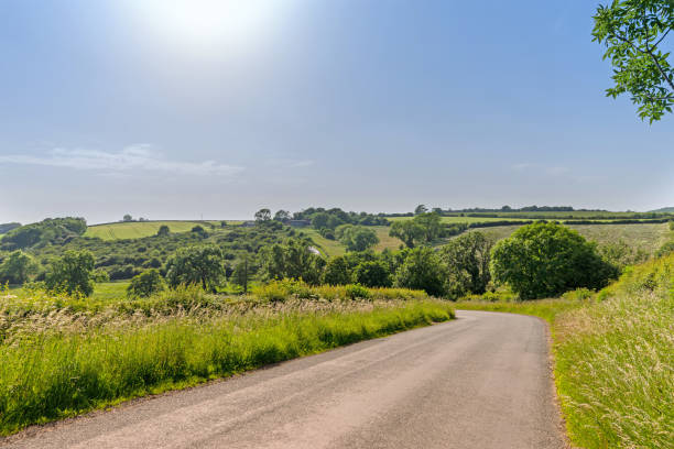 Country road. Sittenham Hill.  A tarmac road leads downhill to a bend.  Grass banks are on either side and a panorama of farmland is in the distance. grass shoulder stock pictures, royalty-free photos & images