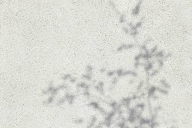istock Shadow Of Leaves Reflected On The White Wall 1160219143