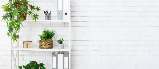 istock Stand with home plants and folders, copy space 1160220005