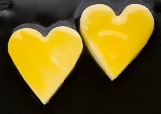 istock Animal fats concept 1160220998