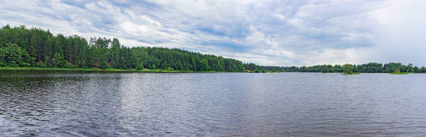 istock forest by the lake on a cloudy summer day 1160224631