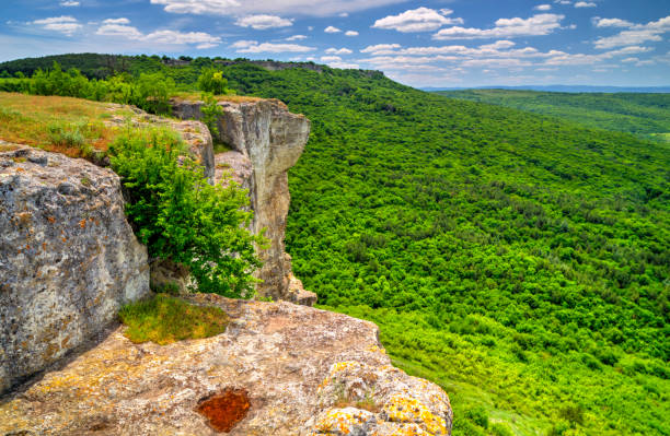 istock Summer landscape in the mountain range 1160226145