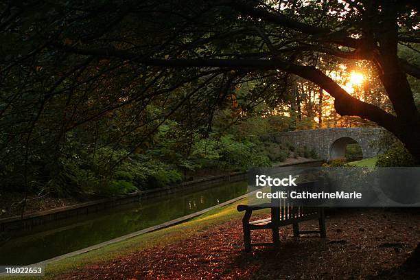 Rilassante Panchina In Giardino Botanico - Fotografie stock e altre immagini di Norfolk - Virginia - Norfolk - Virginia, Autunno, Virginia - Stato USA