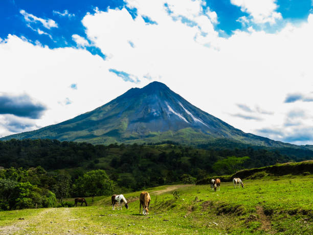 istock Vacationing in Costa Rica 1160227619