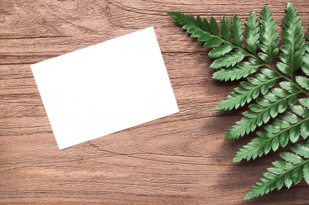 istock Work space,white paper or note paper with frame green leaves ,fern on wooden table backdrop.Suitable for save the date or special occasion vintage tropical style.Flat lay, Top view background. 1160228693