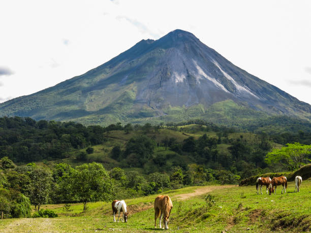 istock Vacationing in Costa Rica 1160228751